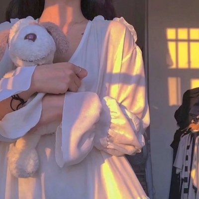 妙贼追凶