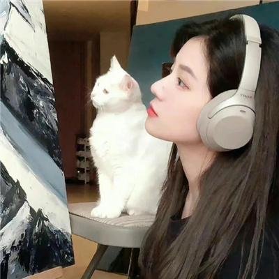 徽娘宛心